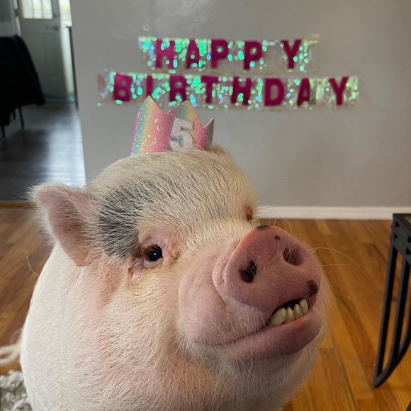 Why I Posh - Picture 6 of 16